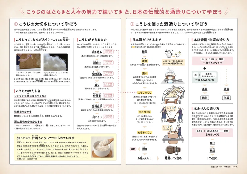 リーフレット「こうじと酒造り」ができました|日本の伝統的なこうじ菌を使った酒造り技術の保存会