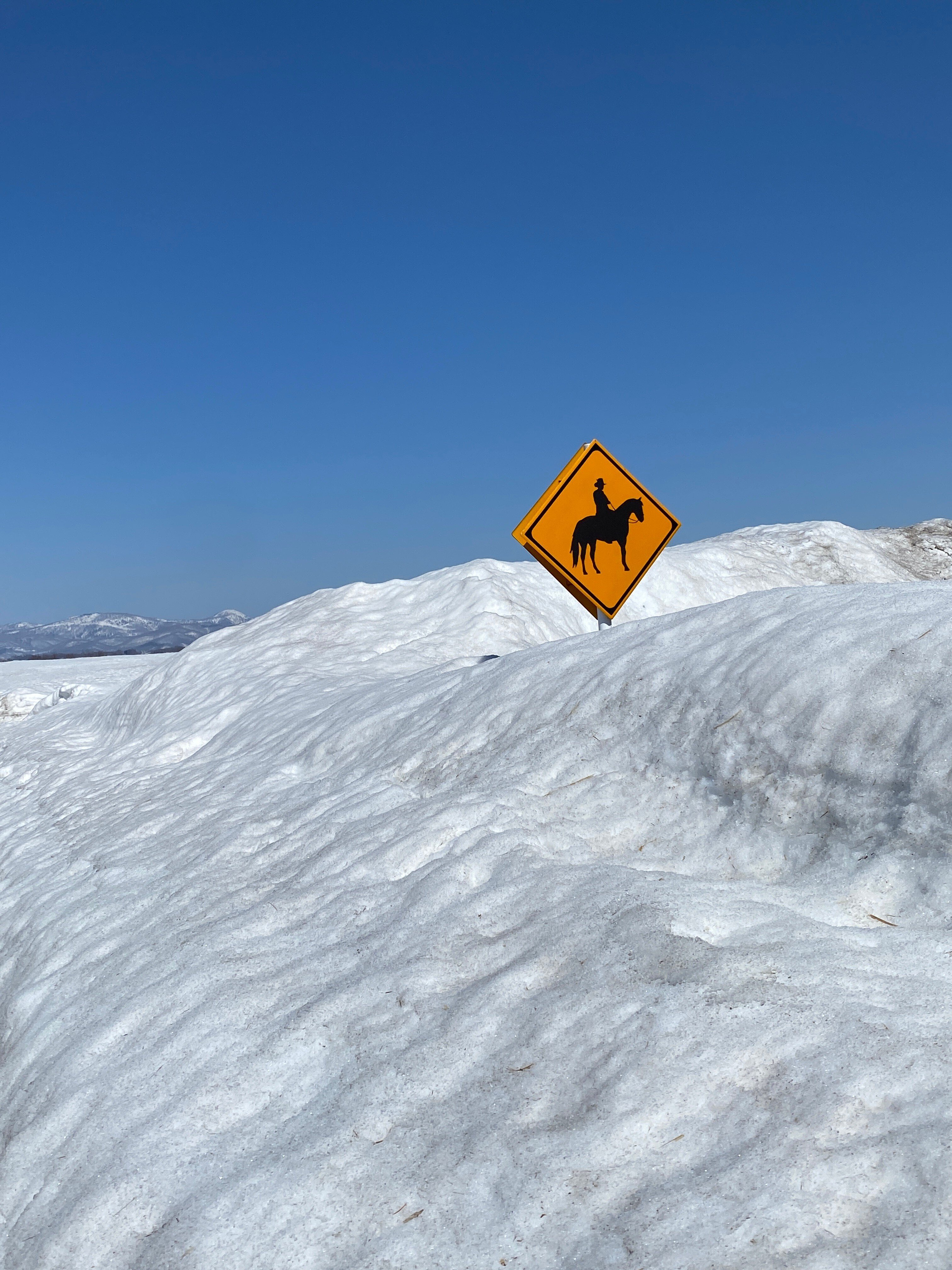 雪のホーストレッキング / ニセコ・北海道⑥｜Lulu's Cabinet