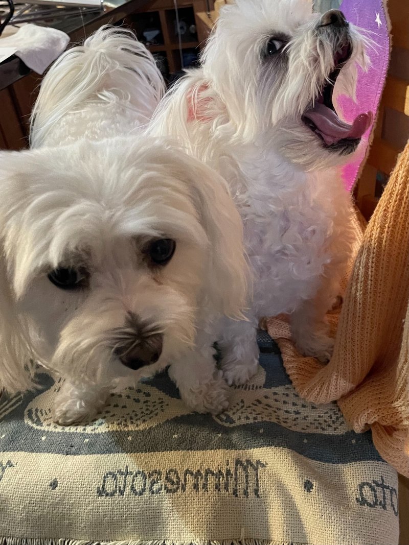 影響力のある人からの寵愛を受ける｜Kazuergo｜note