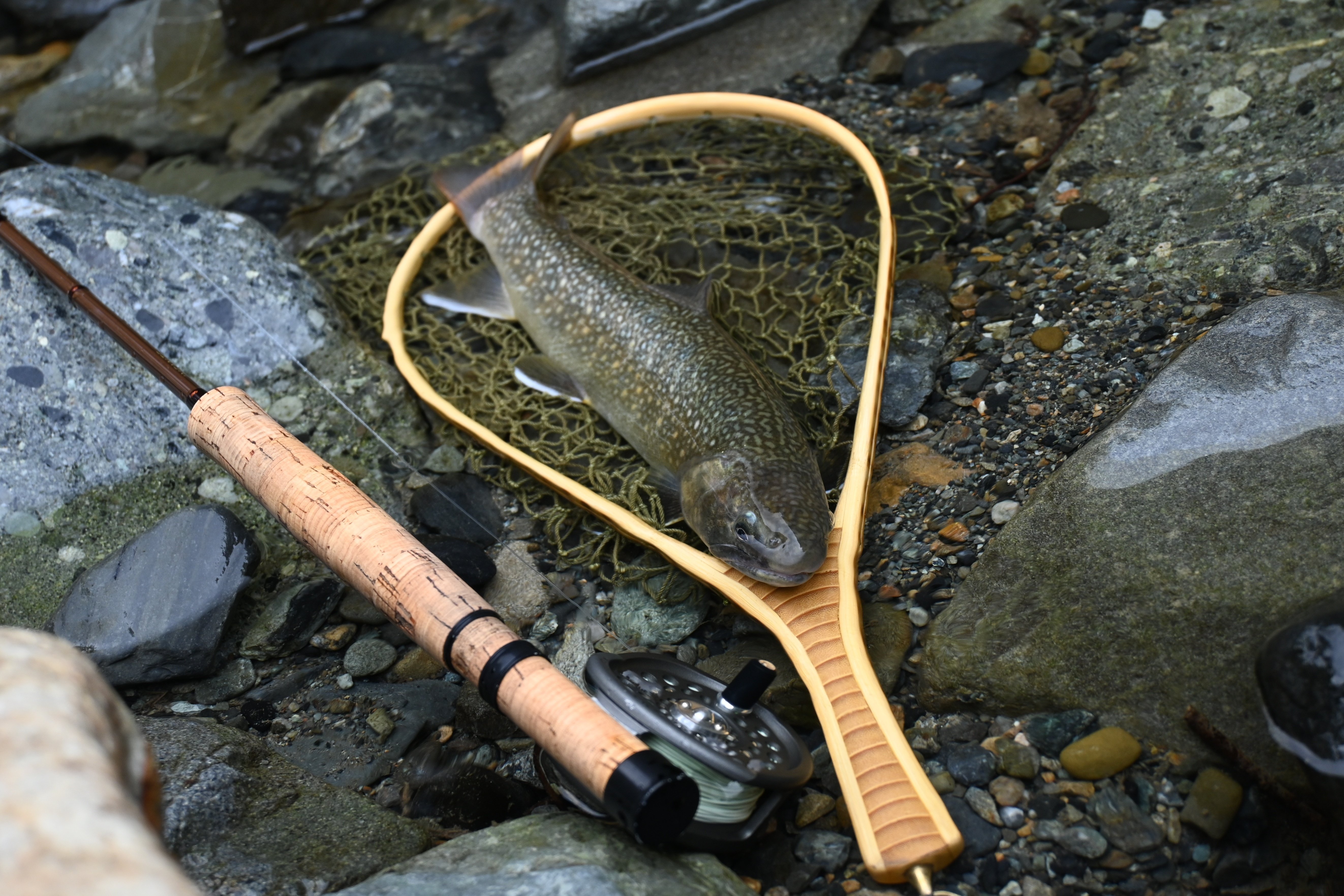 イワナ・ヤマメ 渓流魚の付き場を考える｜FF.BUM（エフエフドットバム）