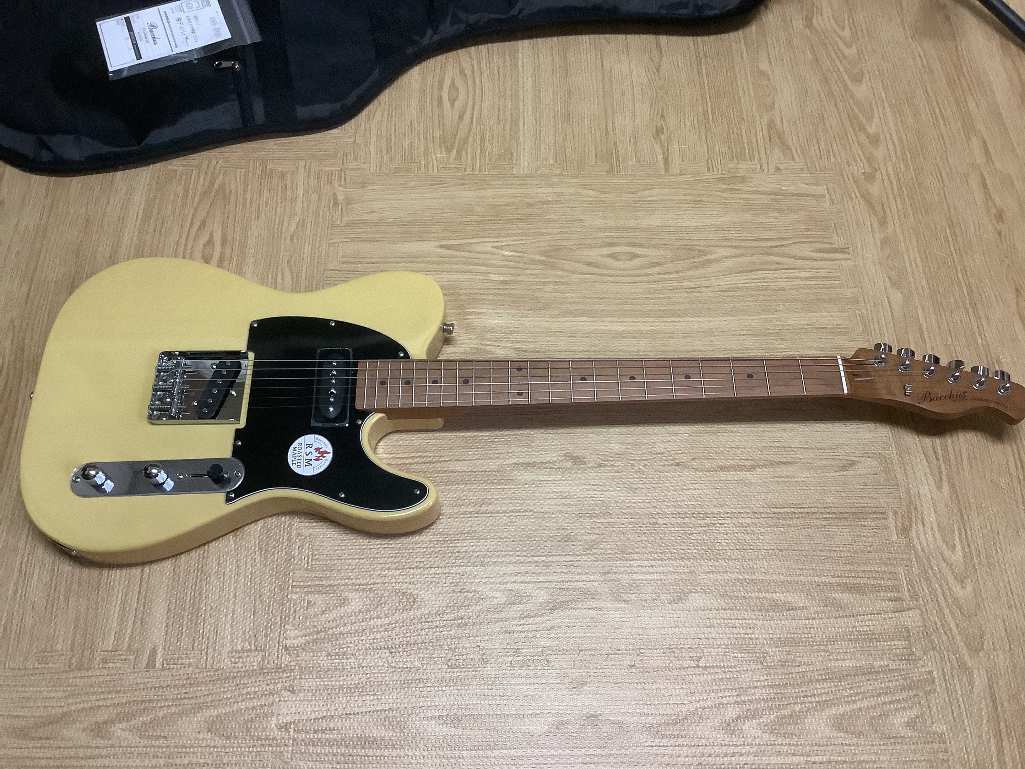 Bacchus BTE-2-RSM/テレキャスターエレキギター サイケデリズム風