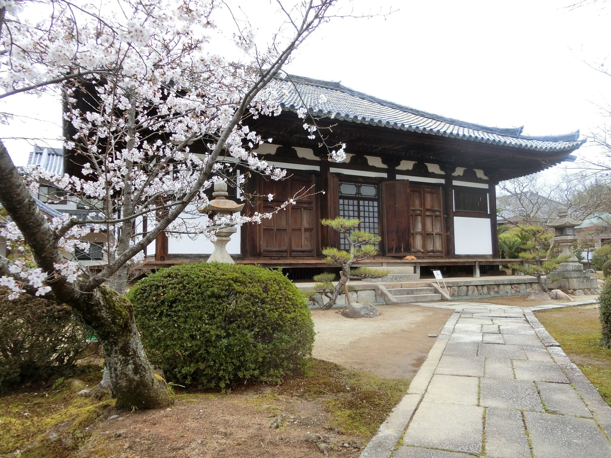 釘無し本堂は国宝「孝恩寺」重文だらけの平安仏は圧巻【大阪泉州