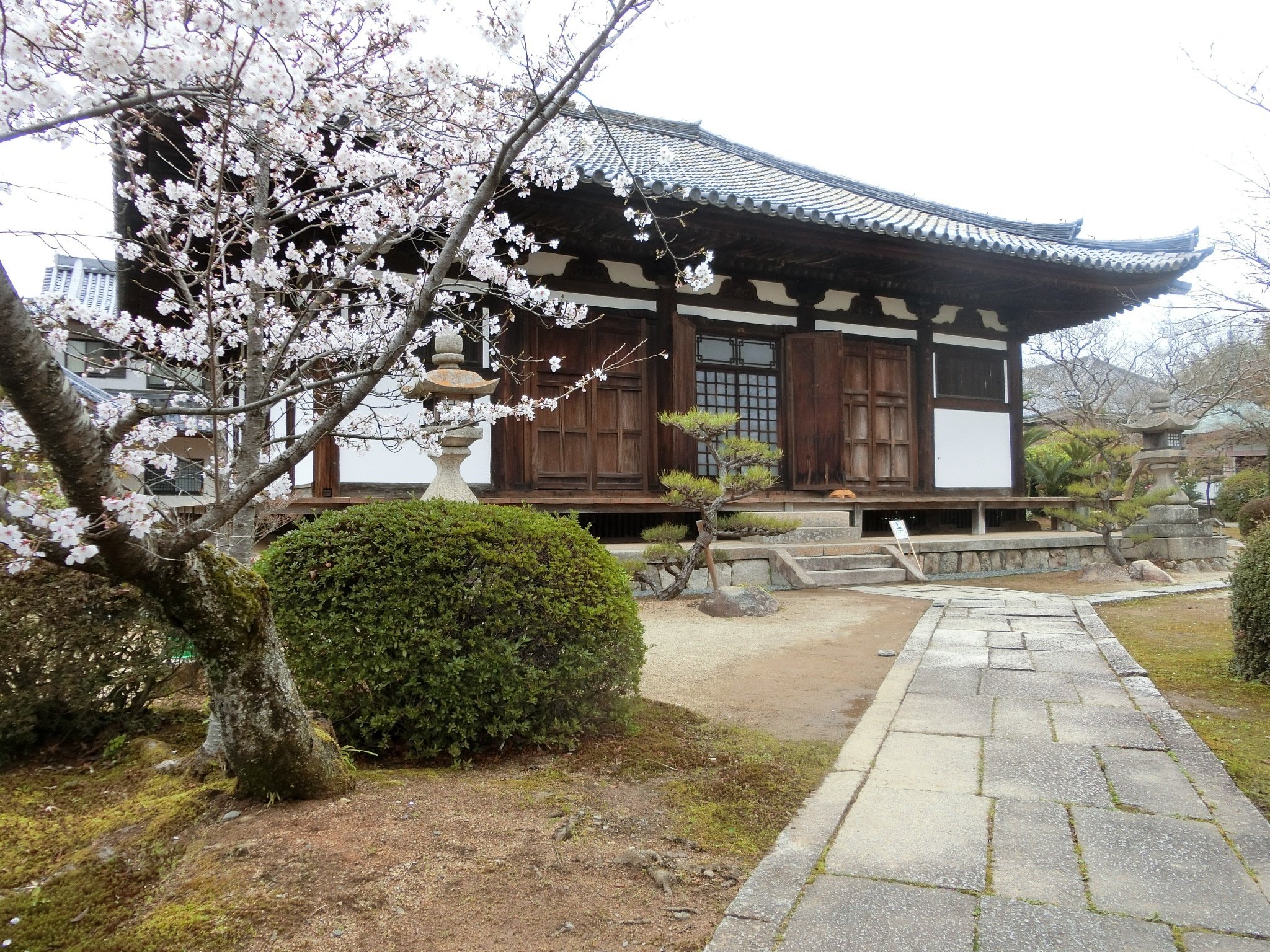 e2872 七宝山 持宝院 本山寺 国宝 本堂 屋根瓦押釘 鉄製 釘