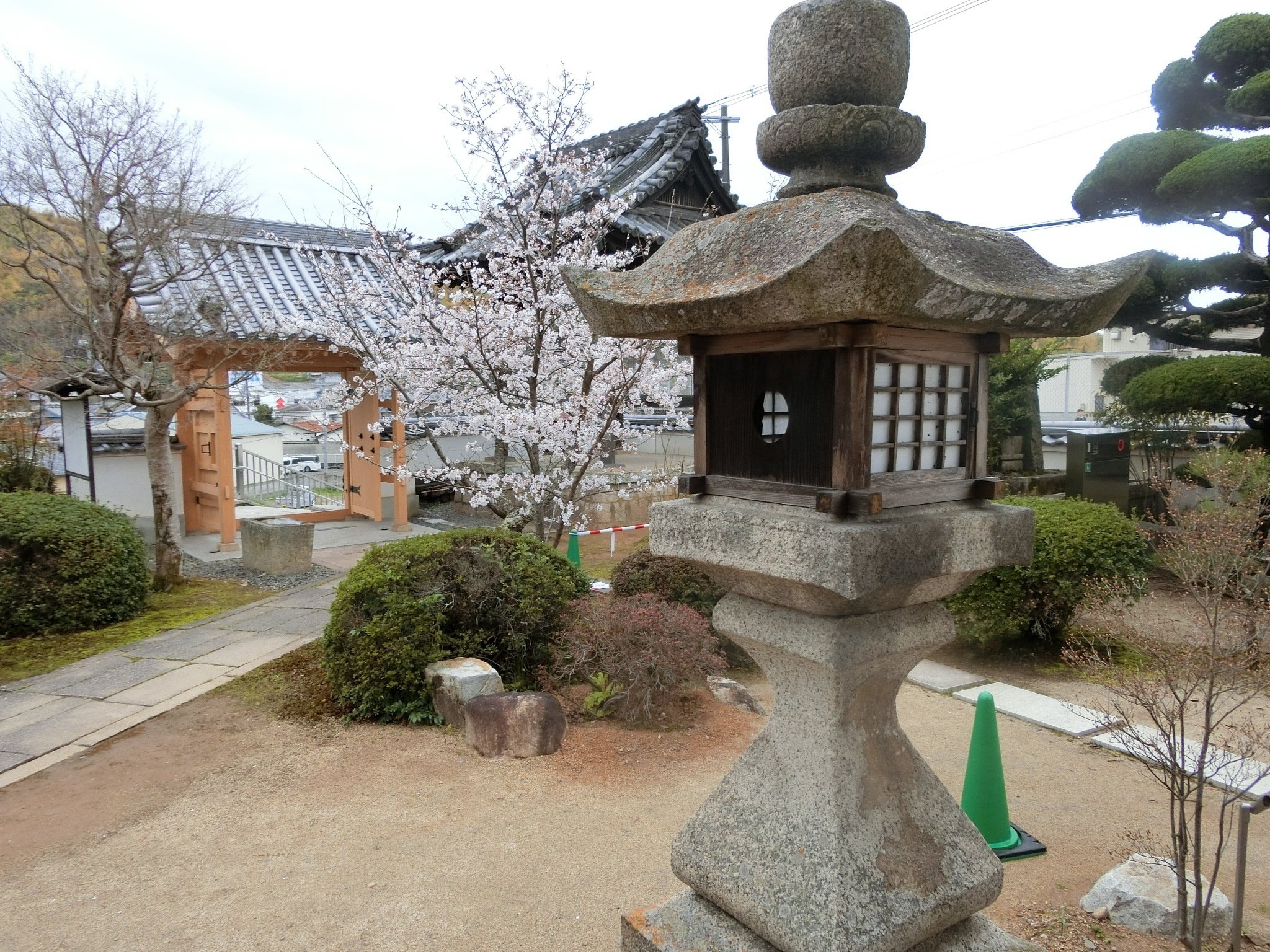 釘無し本堂は国宝「孝恩寺」重文だらけの平安仏は圧巻【大阪泉州