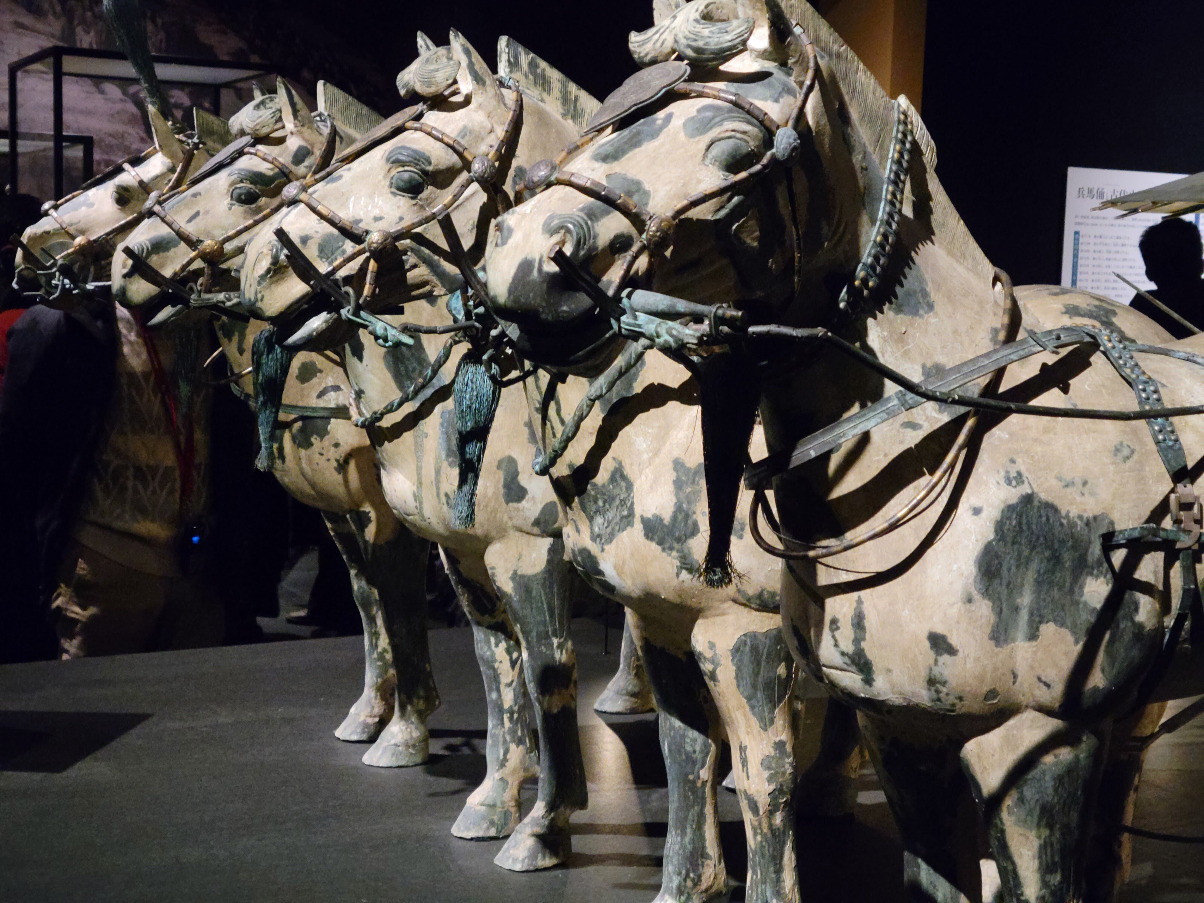兵馬俑のレプリカ　馬 ザ・兵馬俑 [4.馬(Bカラー)],ブルーマウンテン ガチャガチャ カプセル