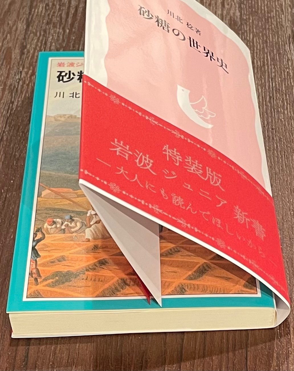 岩波ジュニア新書　27冊 岩波ジュニア新書27冊