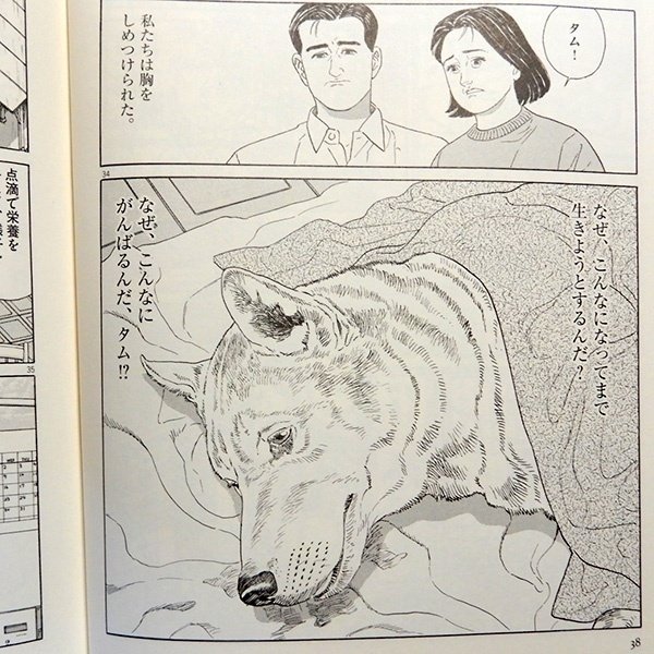 Amazon.co.jp: 散歩もの (扶桑社文庫) : 久住 昌之, 谷口 ジロー: 本