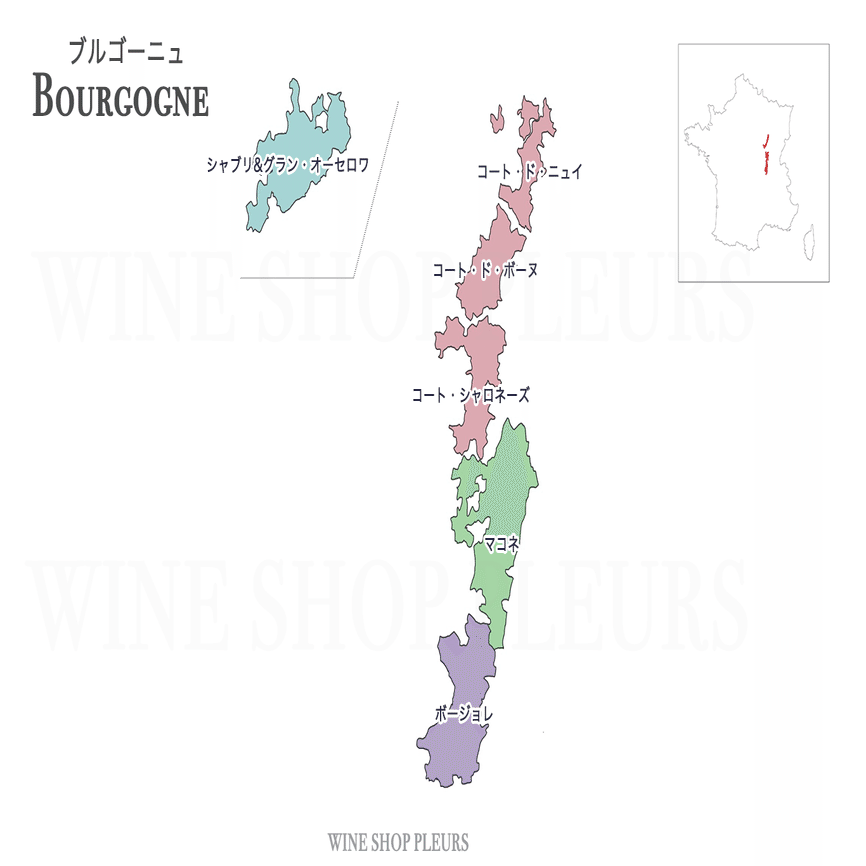 目指せソムリエ#14】ワインラヴァー垂涎の的！ブルゴーニュ｜YUKARI