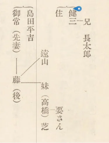 岩波書店『定本漱石全集』注解を校正する127 夏目漱石『道草』をどう