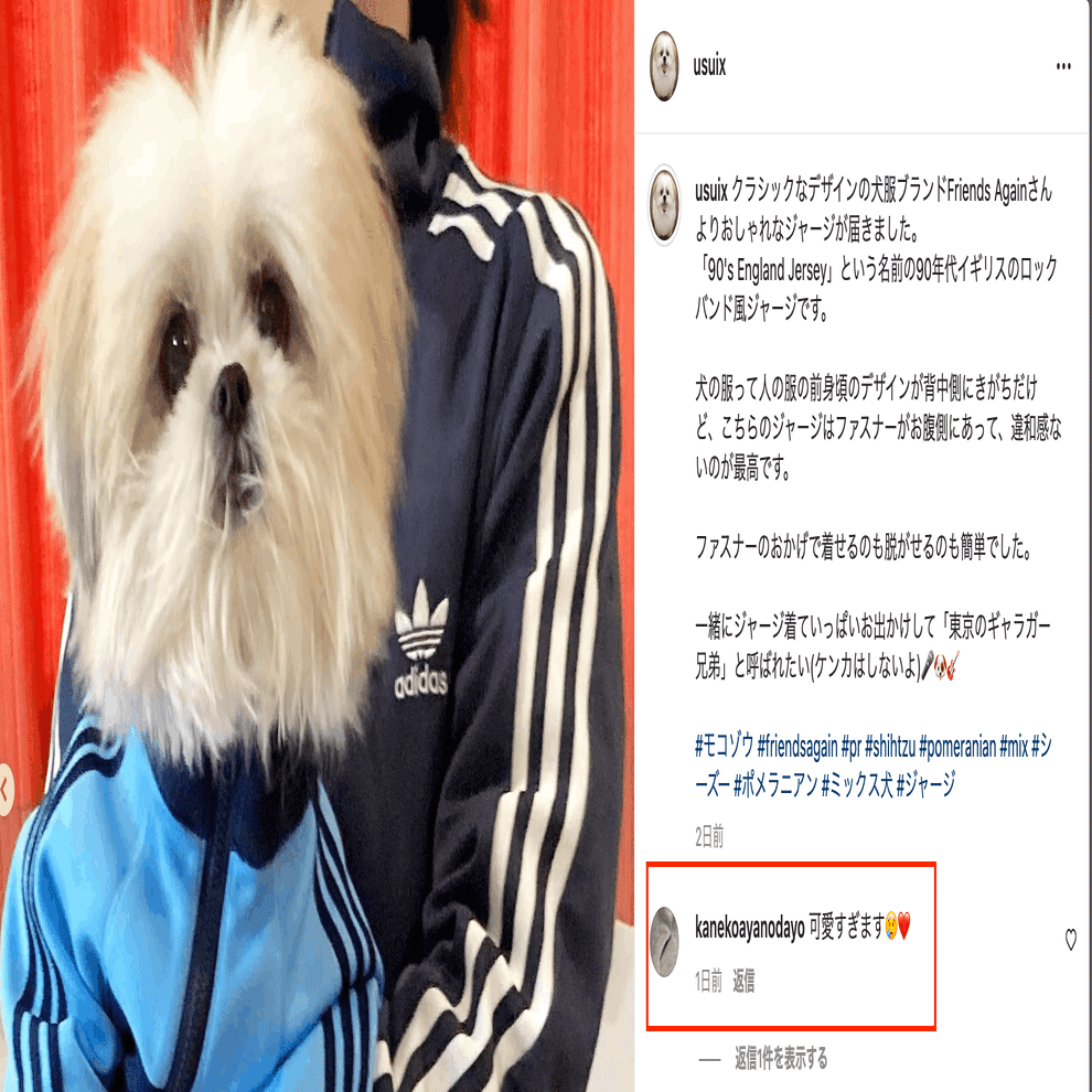 モコゾウ×Friends Again モコゾウくんにドッグウェアを着ていただき