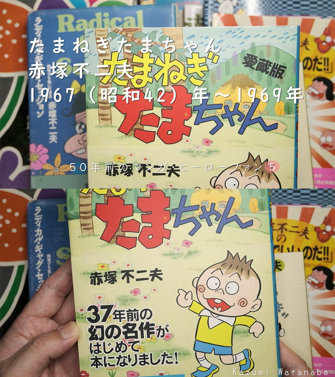 たまねぎたまちゃん／赤塚不二夫 ～ 1967（昭和42）～1969 小学1年生
