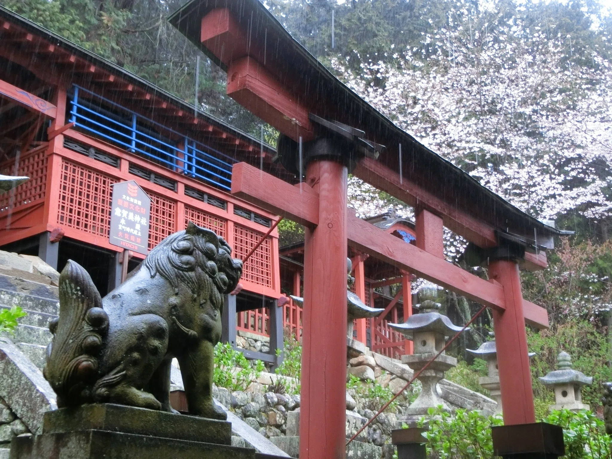 水の神独特の雰囲気「意賀美神社」本殿素晴らし桜も見物!泉佐野六社