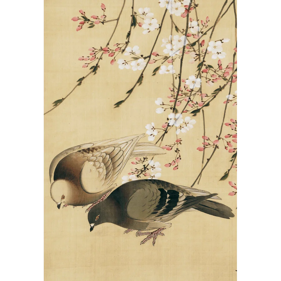 第2451回 江戸時代に描かれた野鳥｜翆野 大地