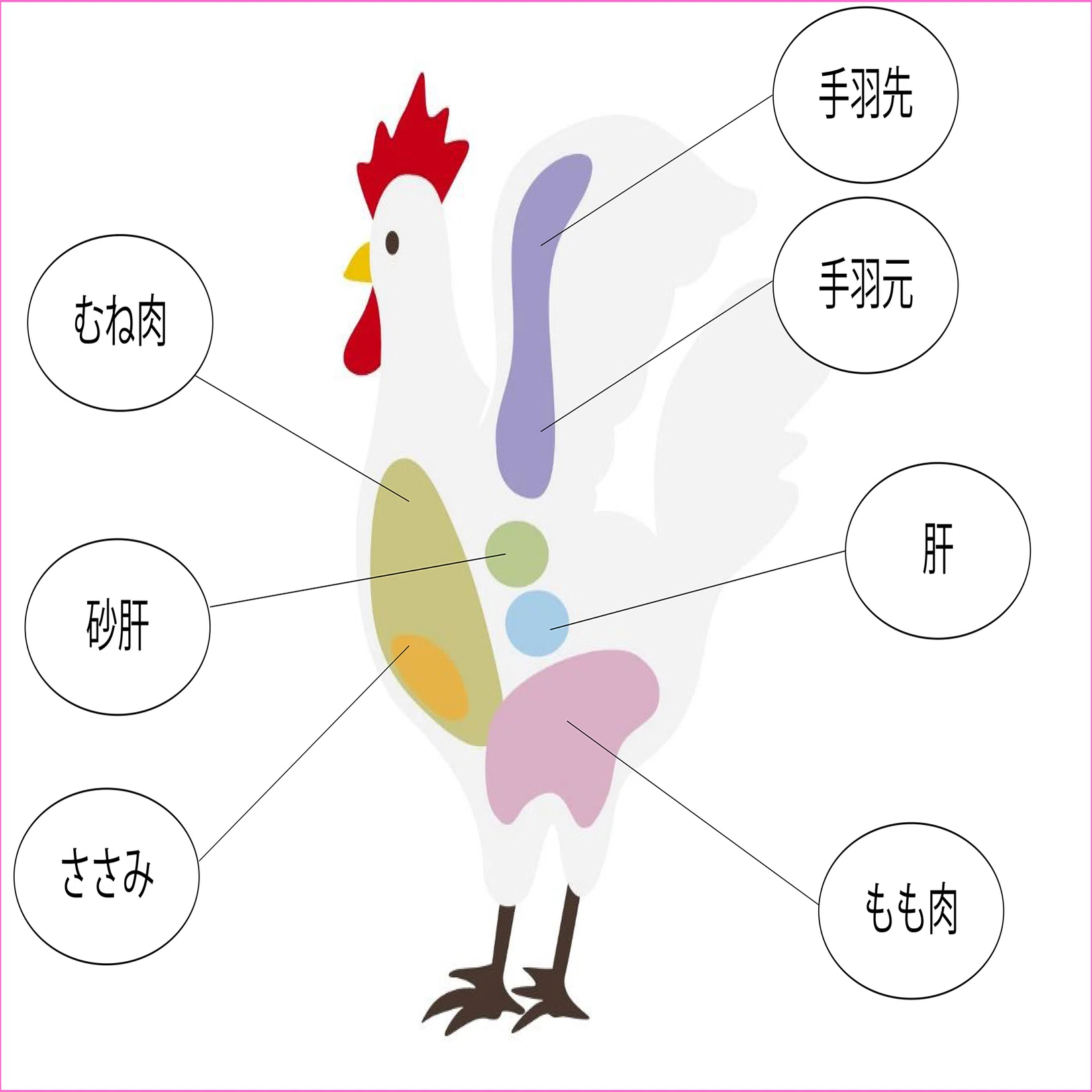 手羽 先 手羽 元