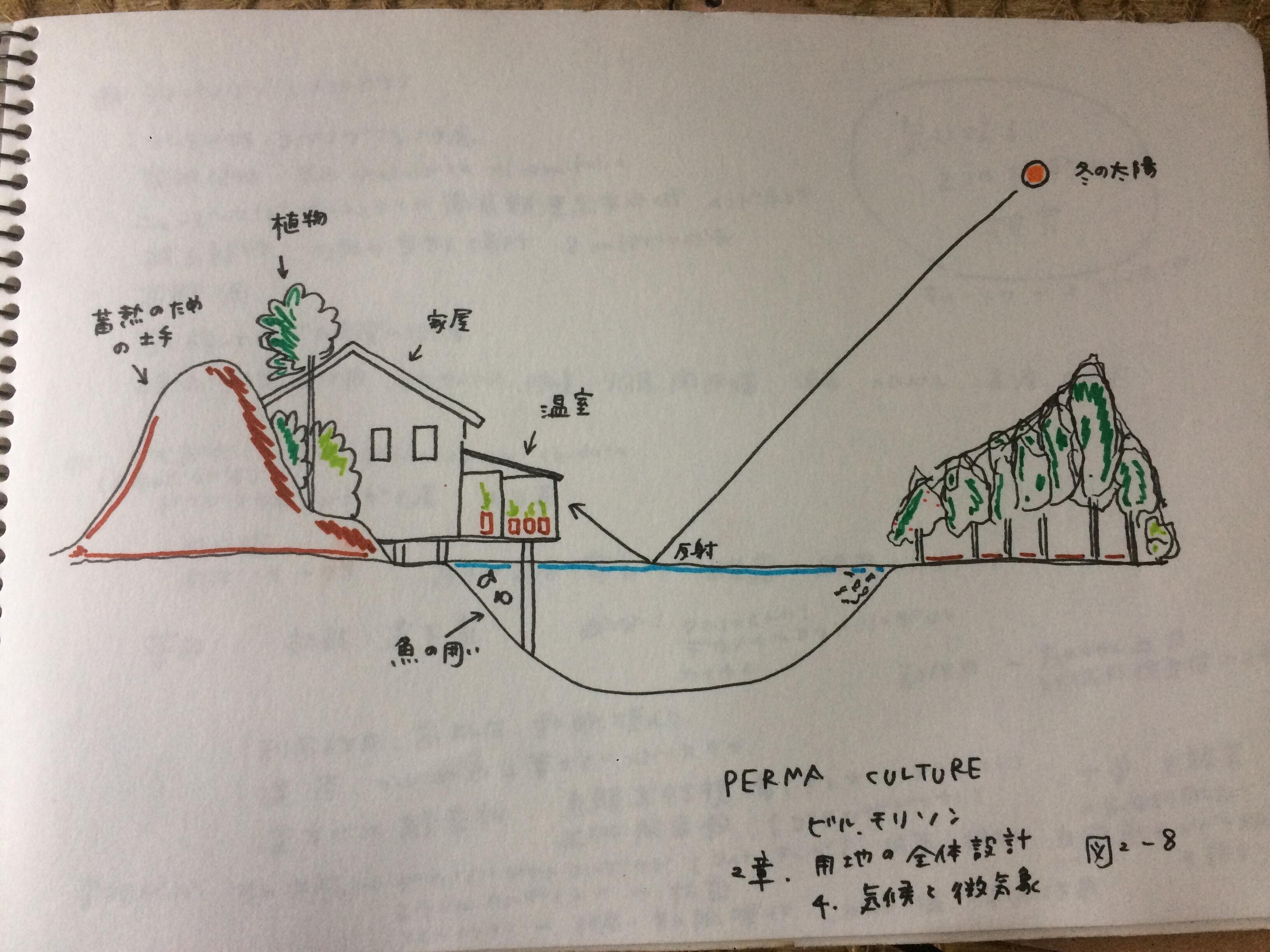 パーマカルチャーデザイナーvol.50】Akiko Yoshida パーマカルチャーデザイナーvol.50】Akiko Yoshida