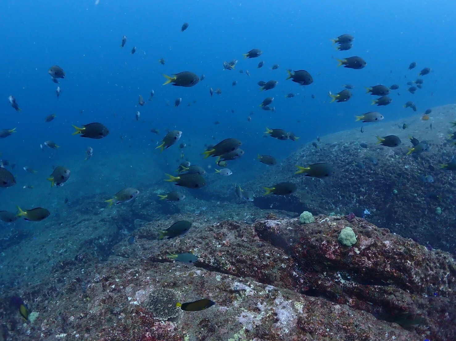 海の中にポスト！？大切なあの人に。海からのメッセージ。｜RK Diving