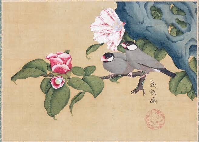 第2454回 江戸時代の珍鳥 ⑶｜翆野 大地