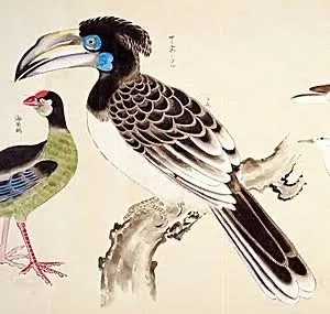 第2454回 江戸時代の珍鳥 ⑶｜翆野 大地
