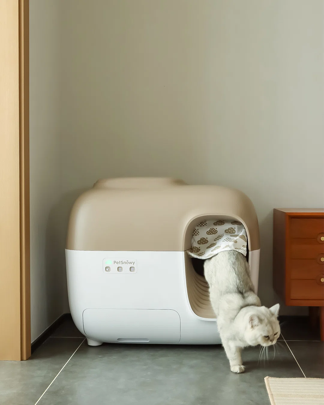 ジジ プロフ見て~様専用 にゃんにゃんにゃんイベント開催 ジジ プロフ見て~様専用 にゃんにゃんにゃんイベント開催
