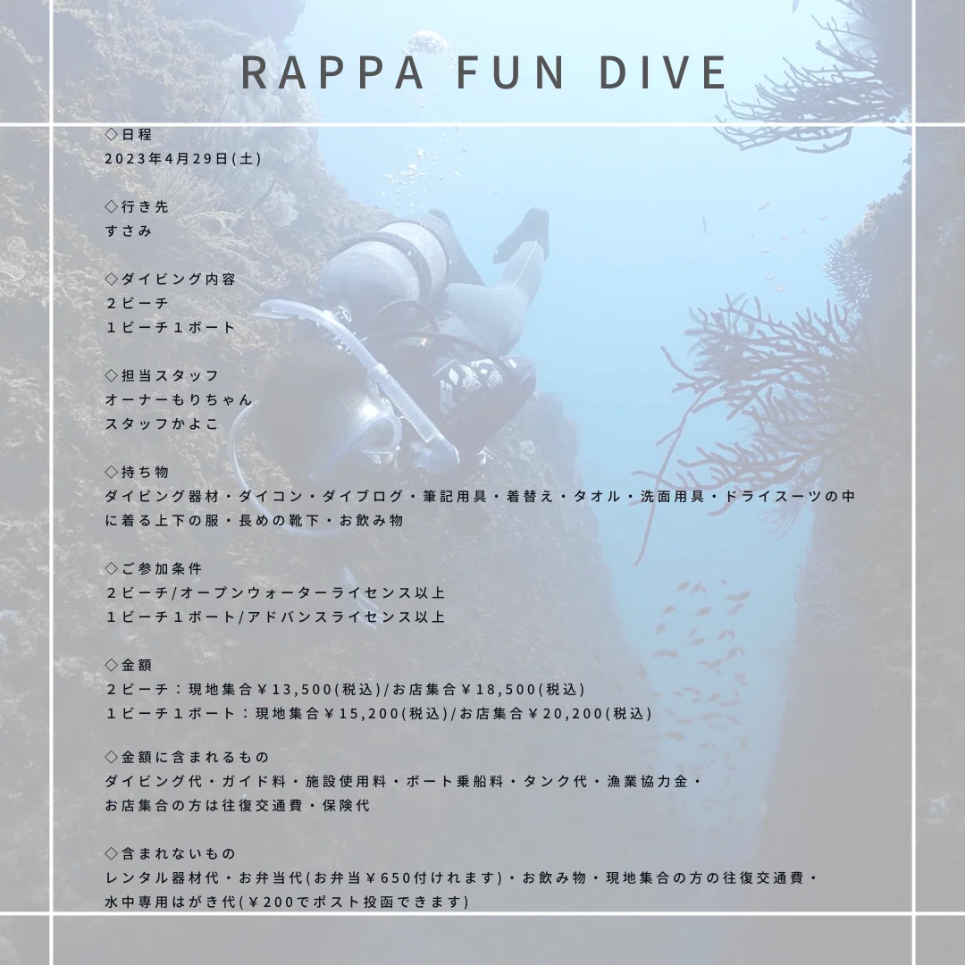 海の中にポスト！？大切なあの人に。海からのメッセージ。｜RK Diving