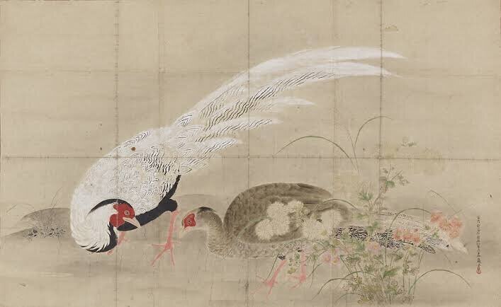 第2454回 江戸時代の珍鳥 ⑶｜翆野 大地