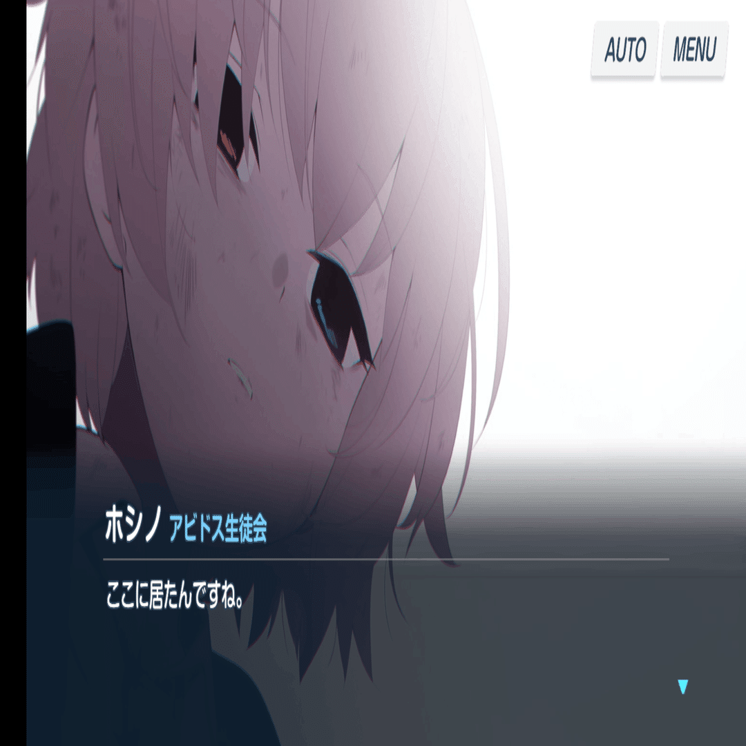 ブルーアーカイブ 小鳥遊ホシノ まとめ (注意点有) ブルーアーカイブ 小鳥遊ホシノ まとめ (注意点有)