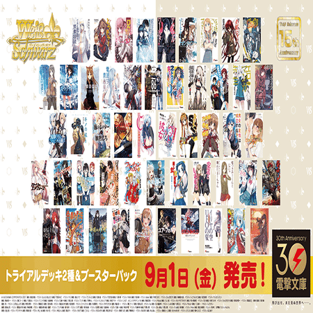 WS】8扉シャナ（カムシン型）｜蒼流