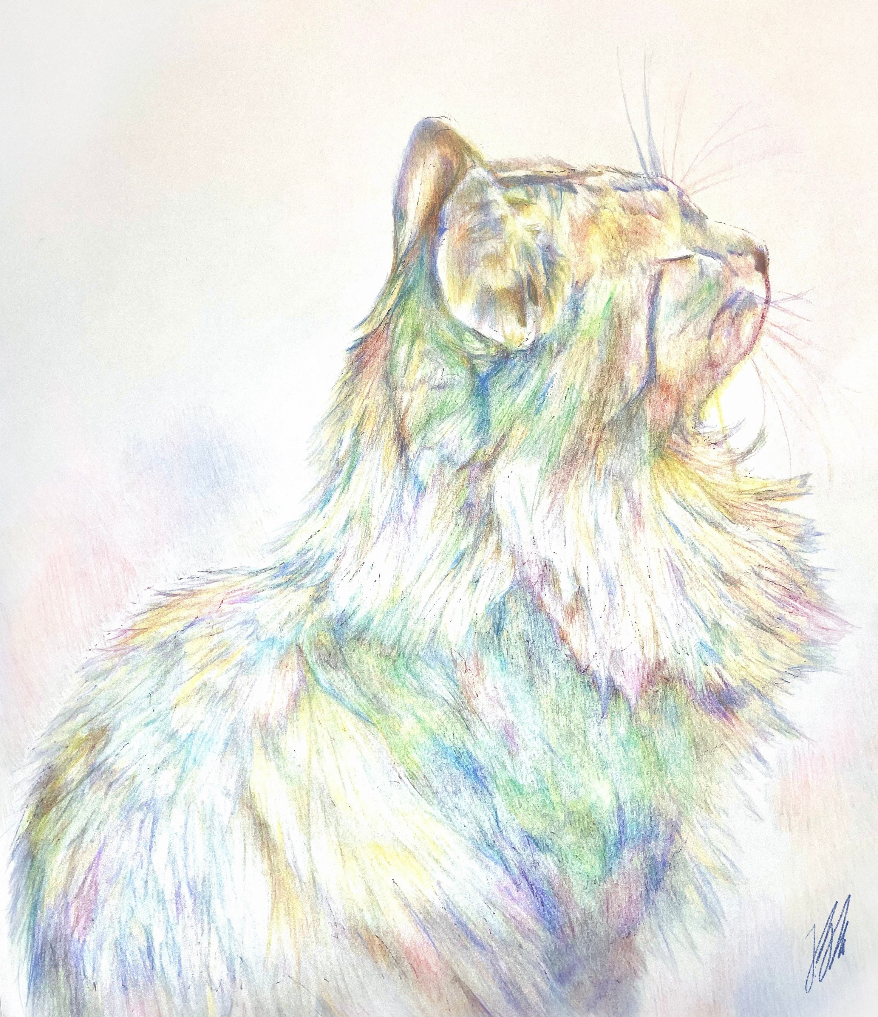 自分の絵のルーツ 「虹色の鉛筆。」｜ながりよ