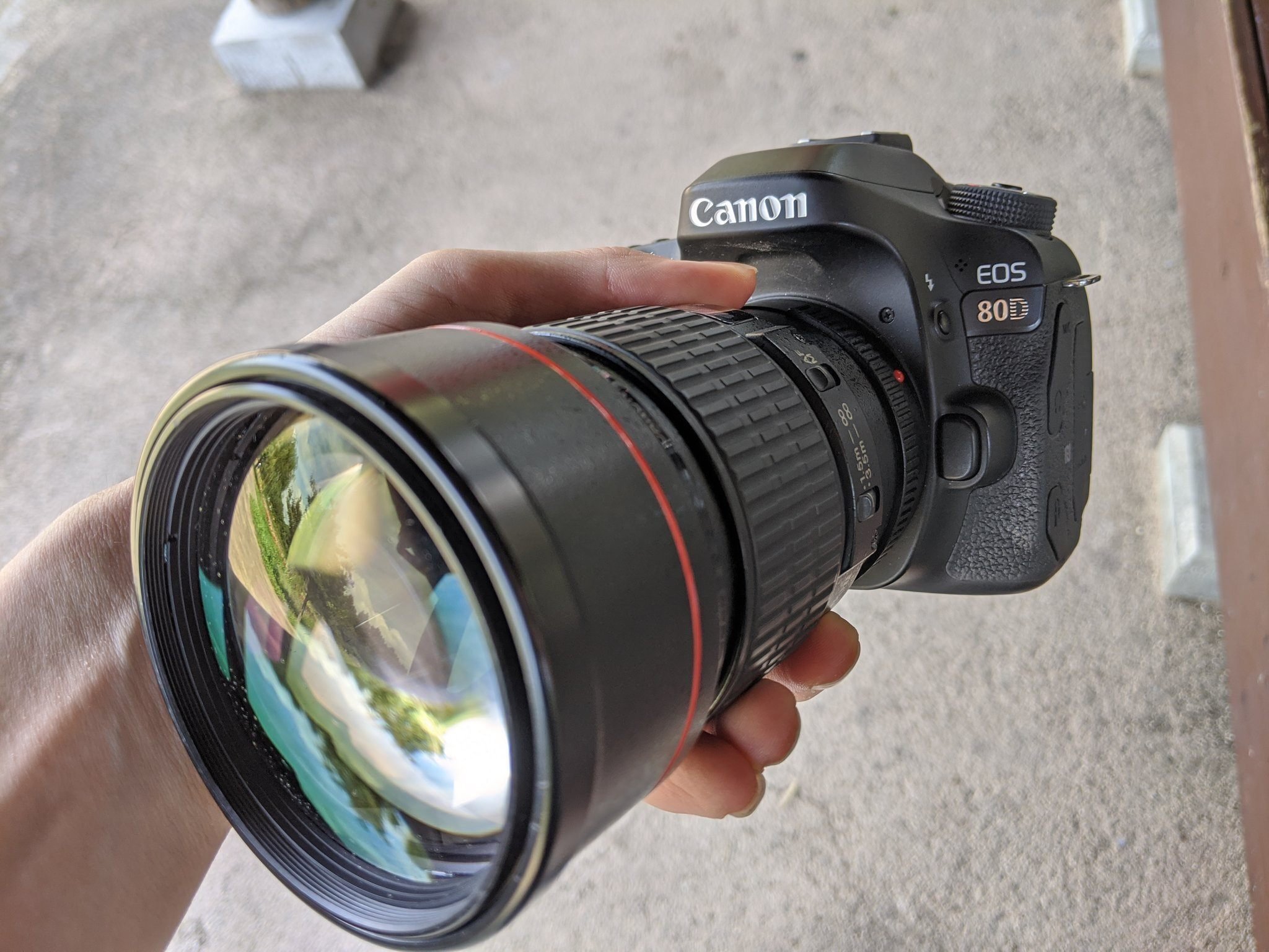17.好きなレンズと焦点距離を語ってみる①「EF200mm F2.8L USM 17.好きなレンズと焦点距離を語ってみる①「EF200mm F2.8L USM