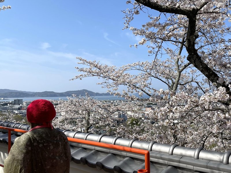 お地蔵さんは「絶景の宝庫　和歌の浦」を桜越しに見て何を思うのでしょう
