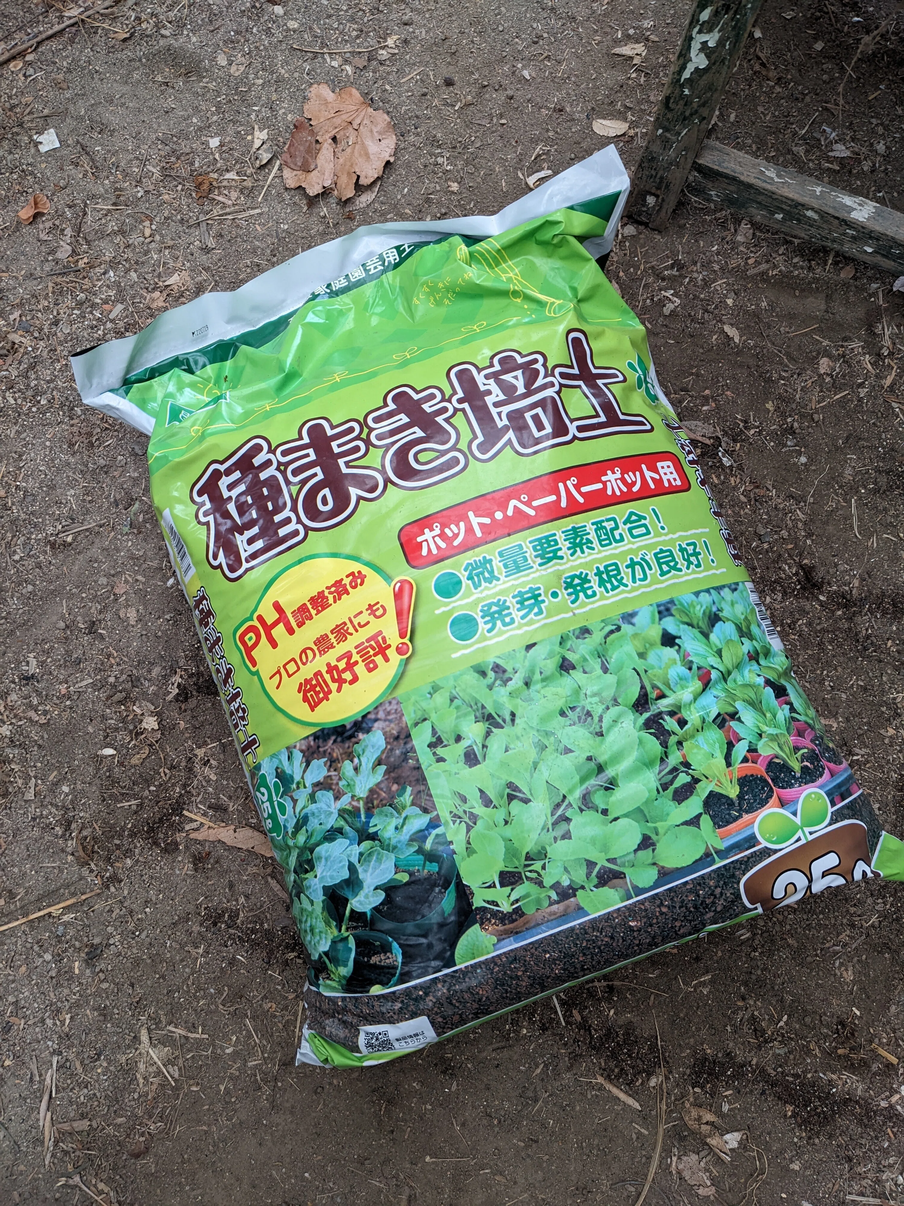 苗半作！夏野菜の苗作り｜かもしとたね＊日々の素88