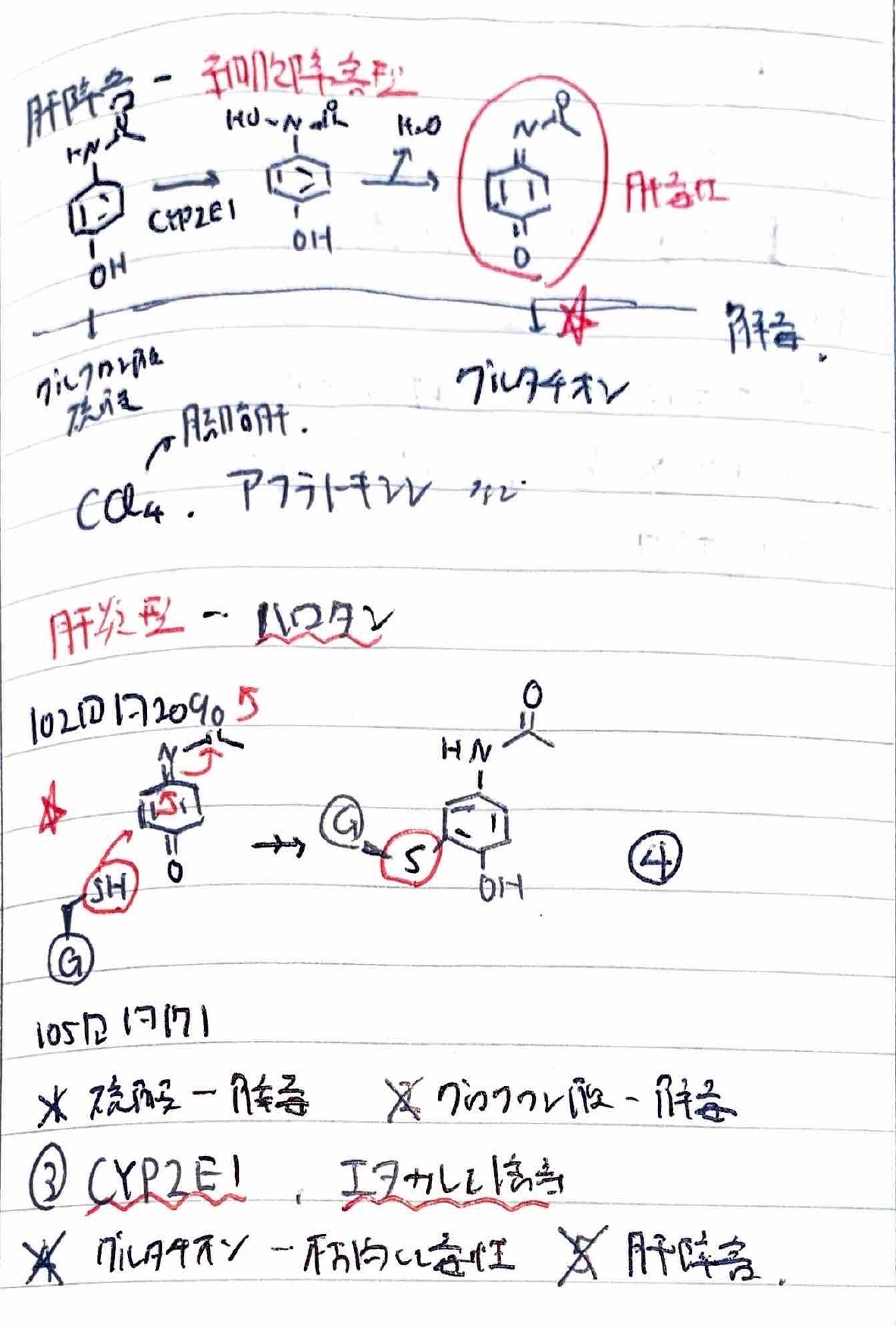 薬剤師国家試験を精読する#13（衛生；毒性物質）｜鈴華書記