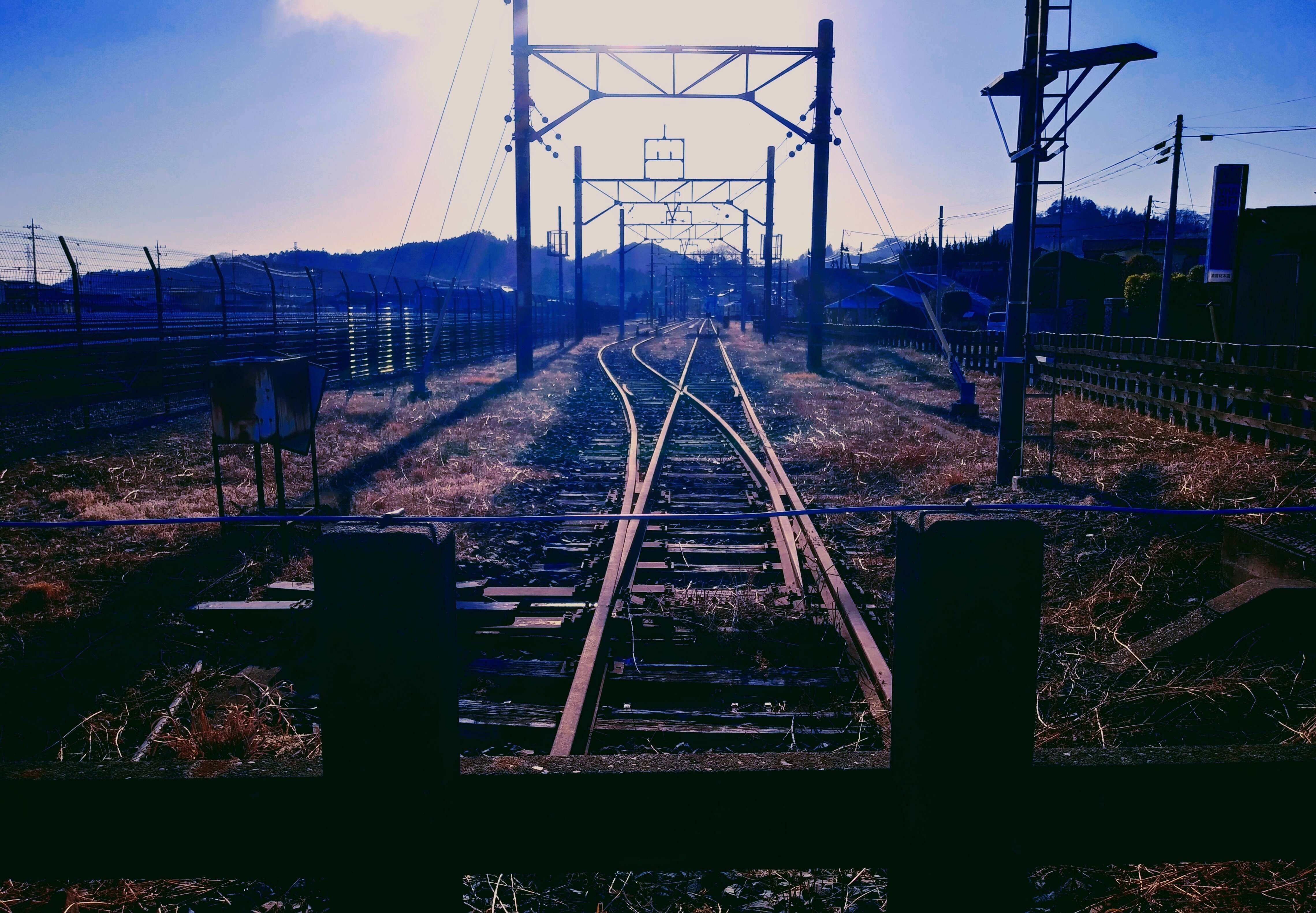 タモリ倶楽部 特別イベント 2023年12月8日台本 タモリ倶楽部 特別イベント 2023年12月8日台本 - メルカリ