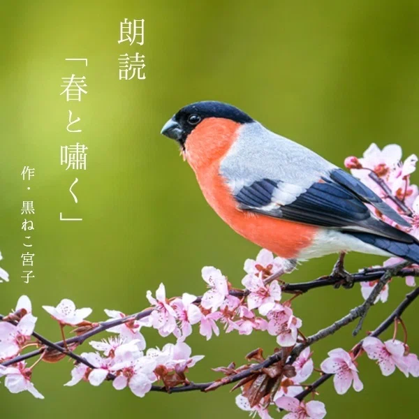「春と嘯く」｜miyako｜note