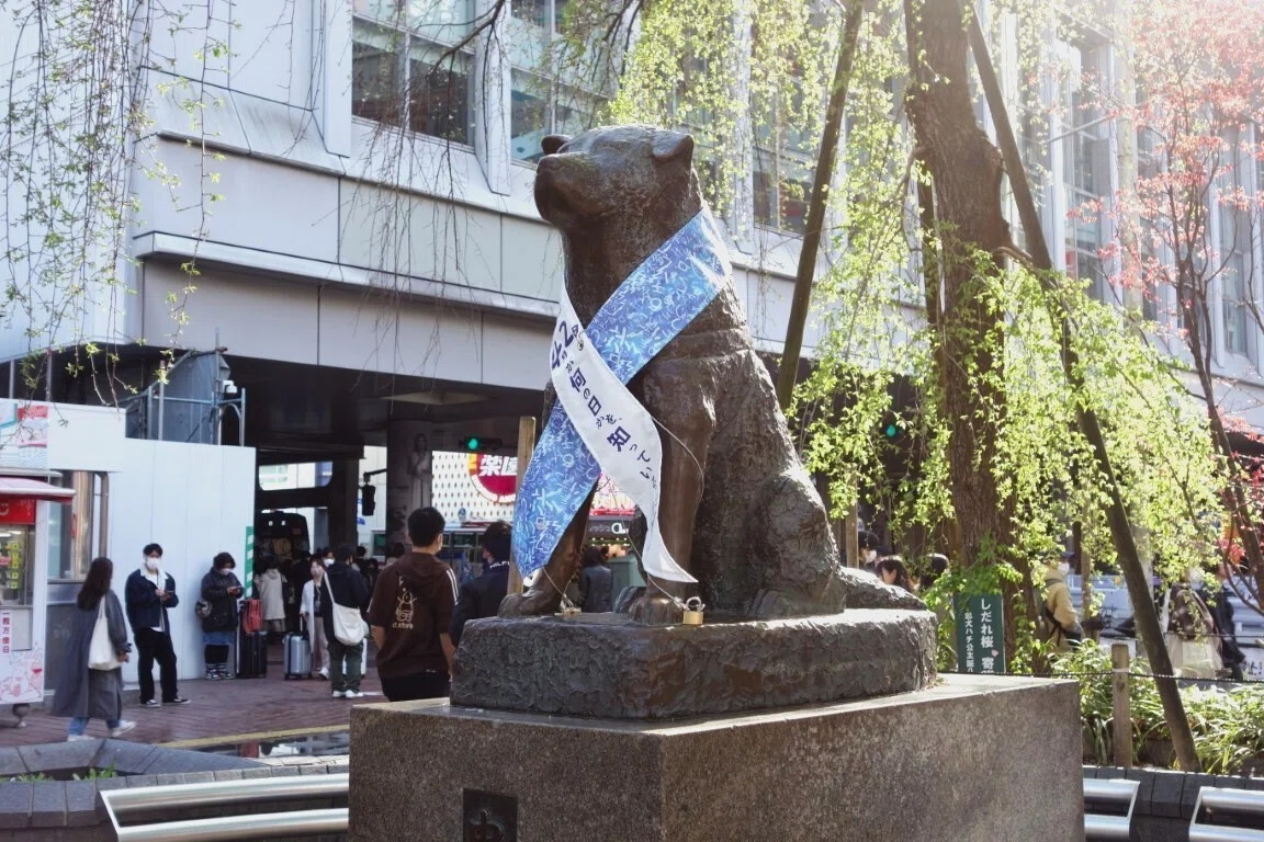 祝・生誕100周年】渋谷のシンボル、ハチ公とその仲間たちを巡る｜@ART