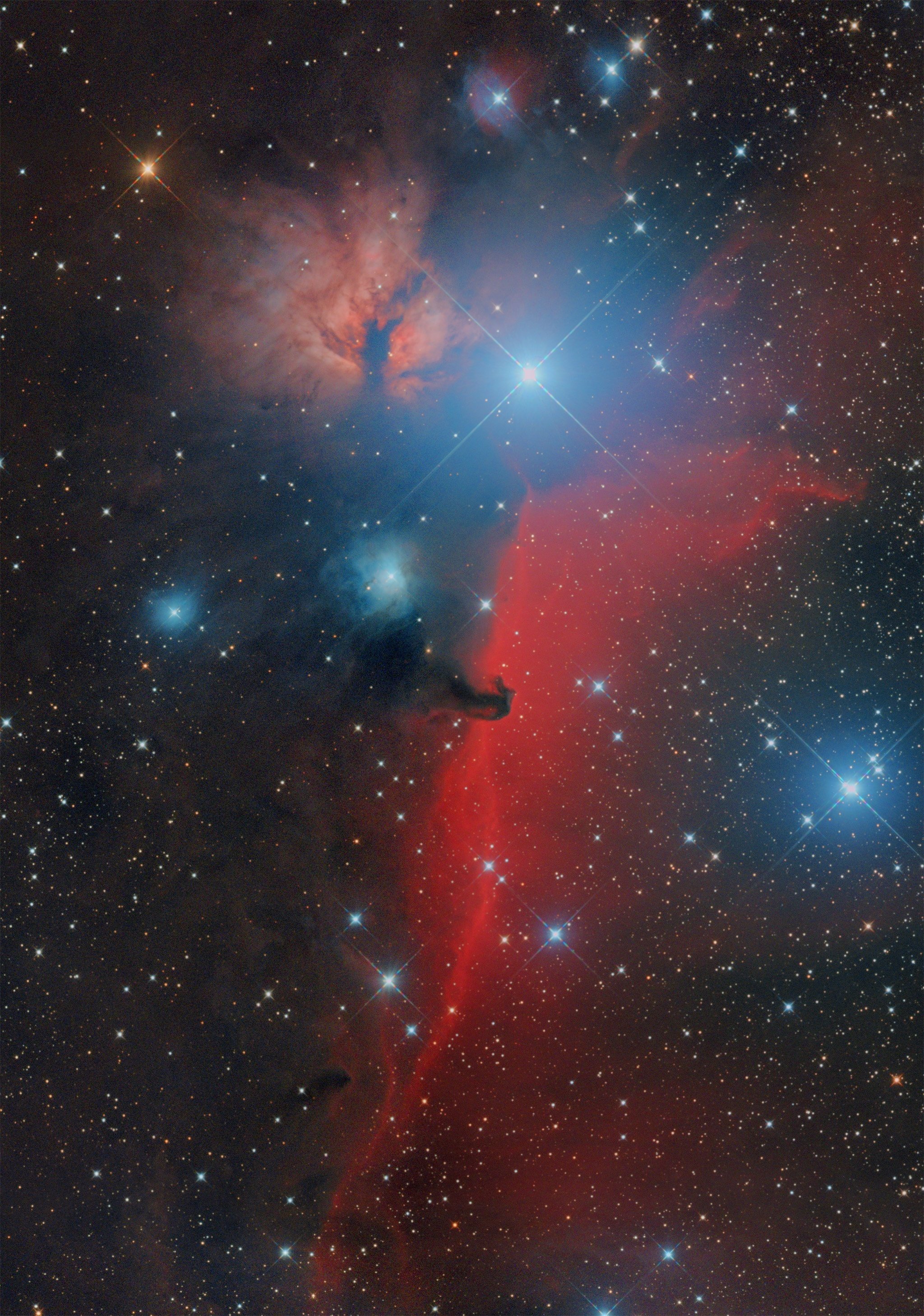 オリオン座のモザイク写真 ①作品｜近江商人