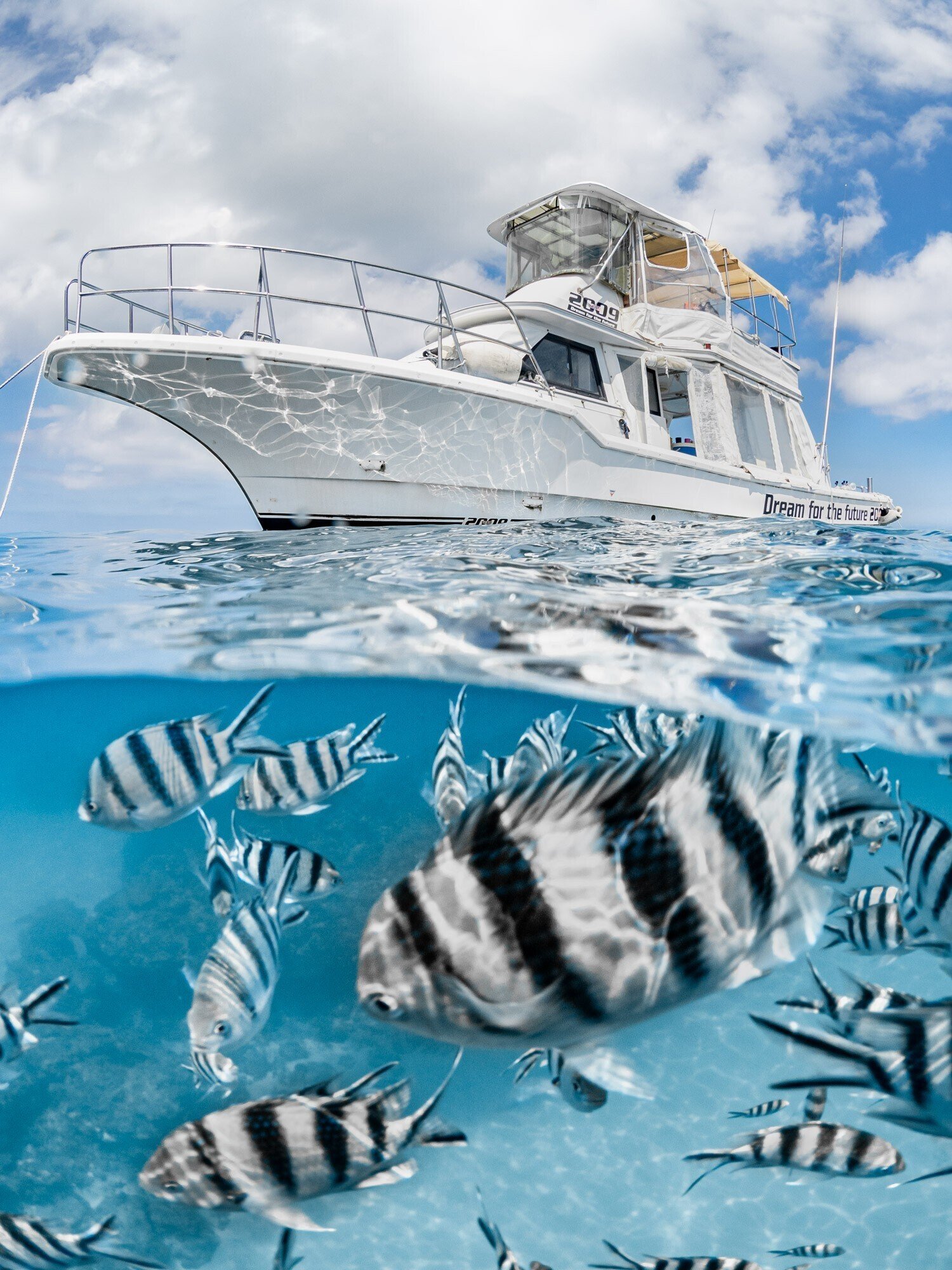 Limelight Under40 部門 受賞作品展インタビュー ～ 三浦エリカ写真展