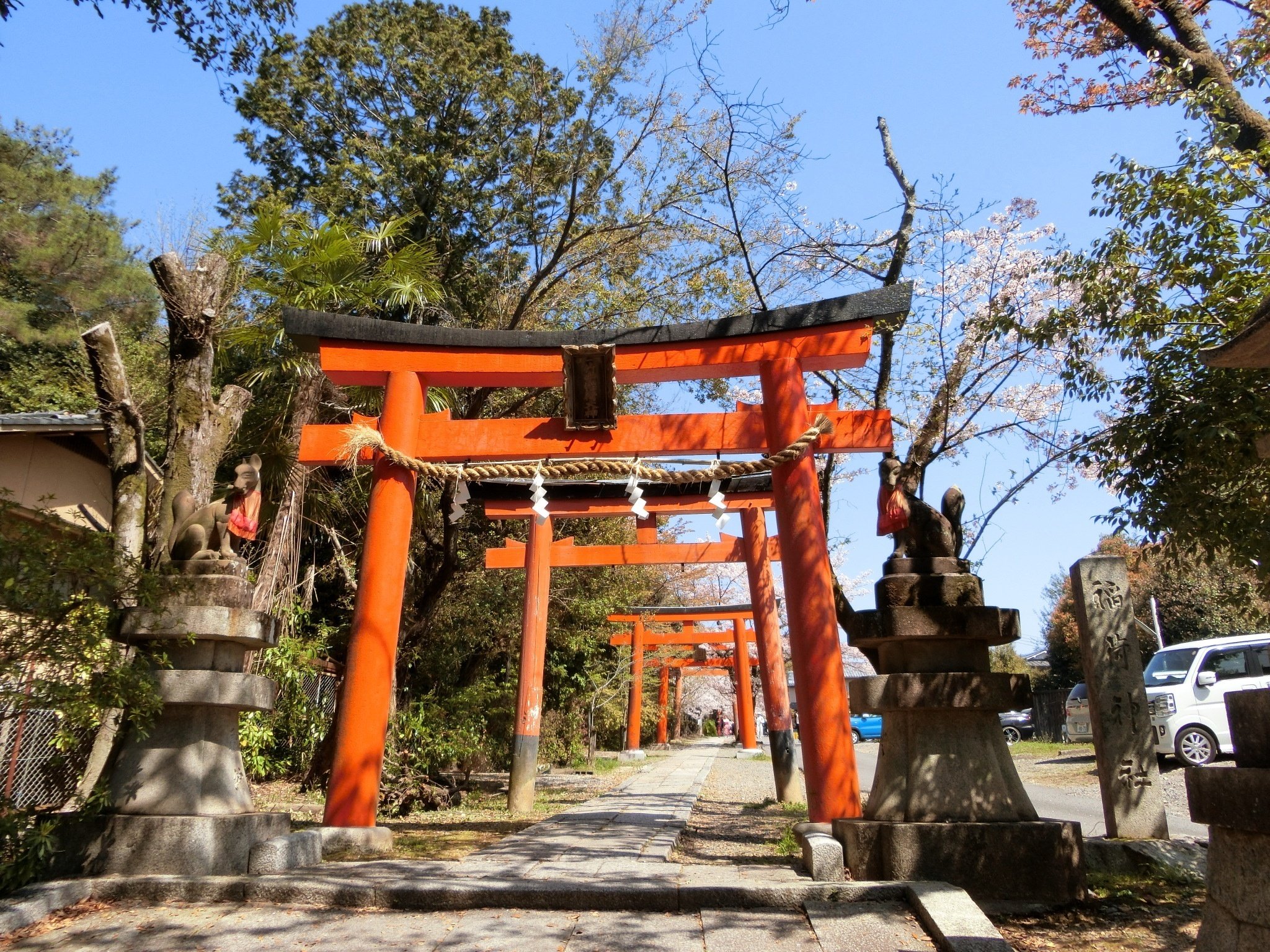 【風船さま専用】神社・鳥居＆竹・枝垂れ桜・クロマツ（Nゲージ） 桜/紅葉トンネル「竹中稲荷神社」まだバレてない?吉田神社末社【京都