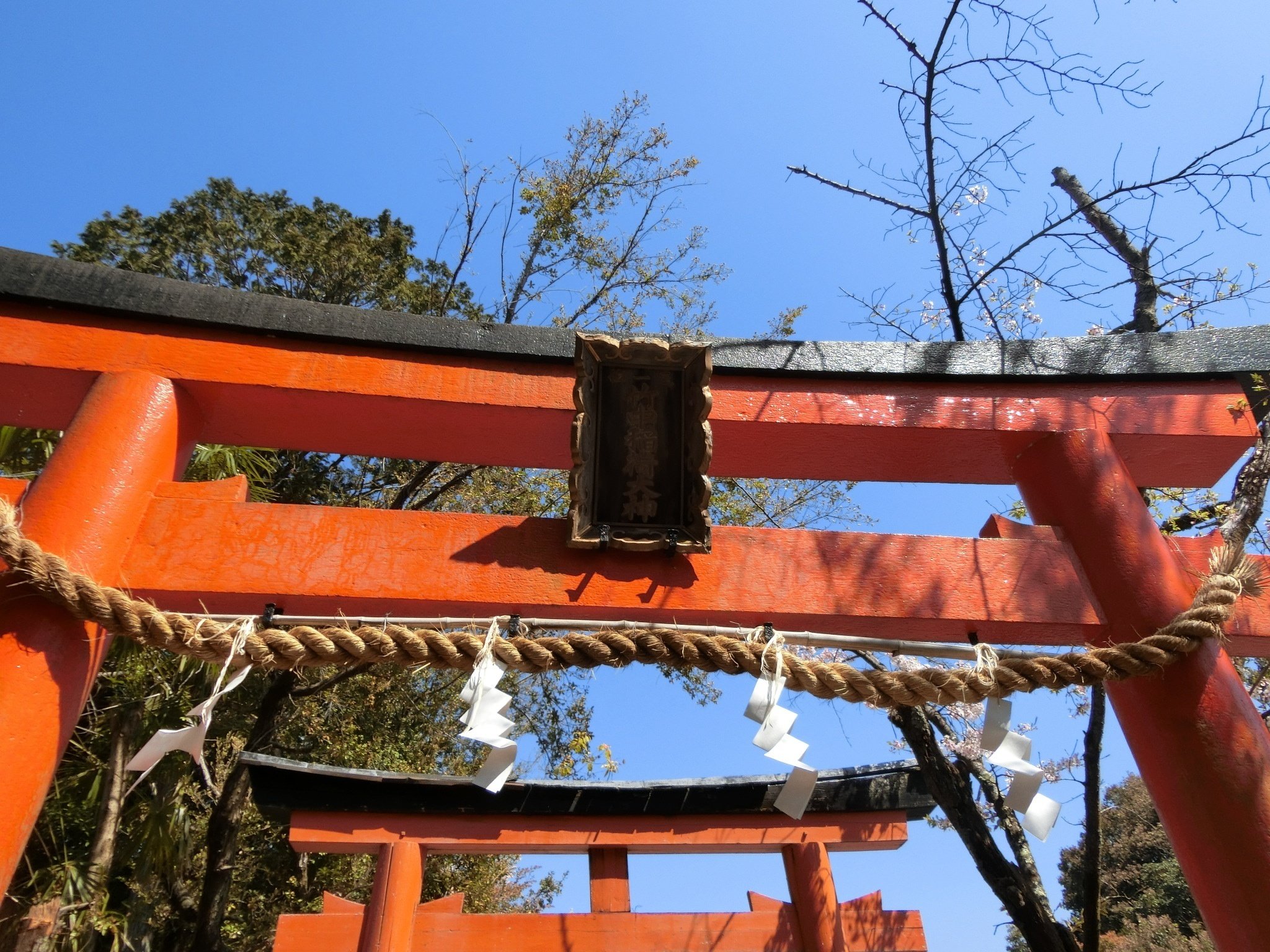 桜/紅葉トンネル「竹中稲荷神社」まだバレてない?吉田神社末社【京都