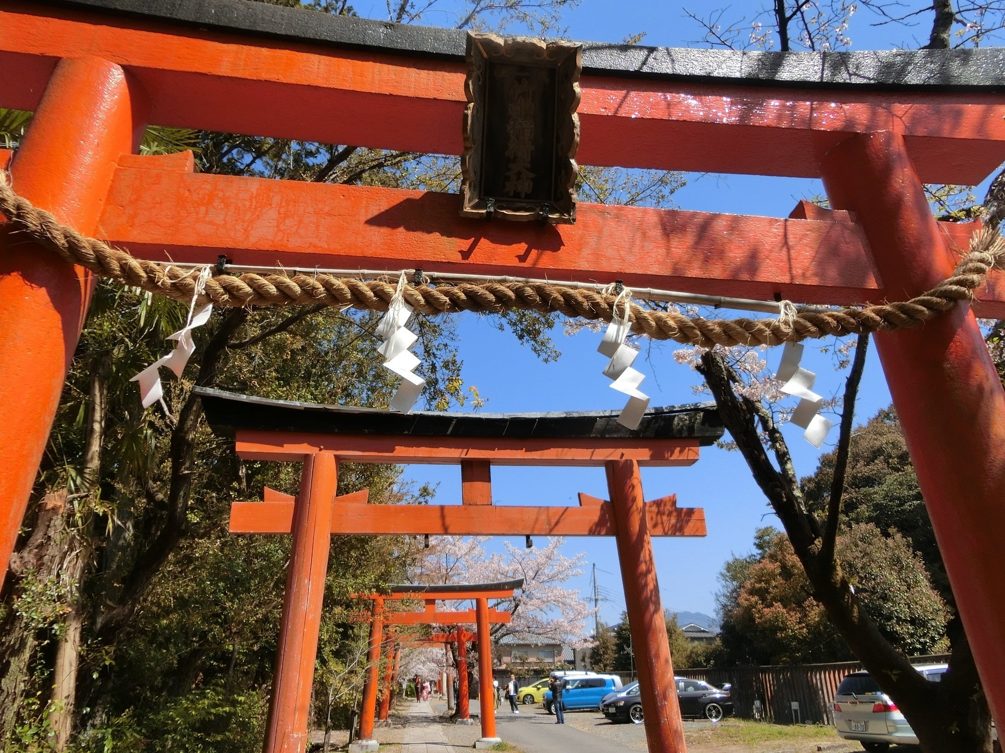 【風船さま専用】神社・鳥居＆竹・枝垂れ桜・クロマツ（Nゲージ） 桜/紅葉トンネル「竹中稲荷神社」まだバレてない?吉田神社末社【京都