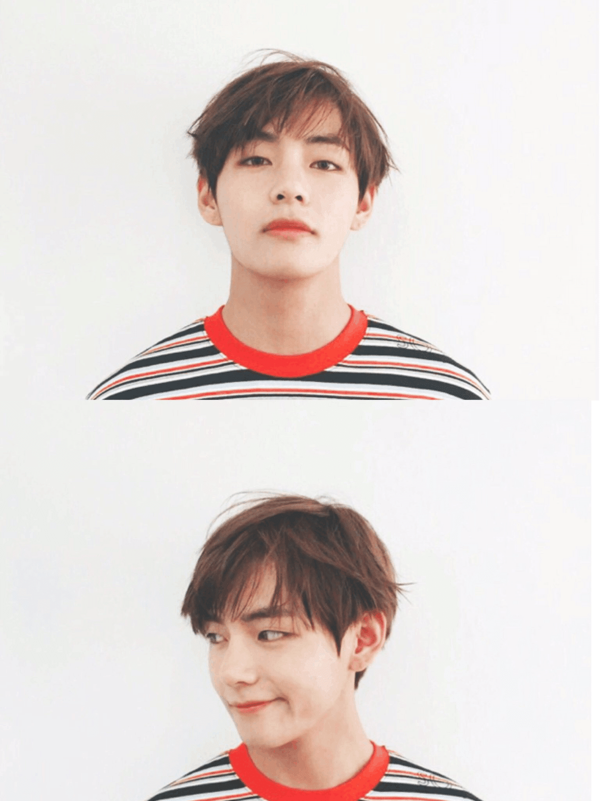 防弾少年団 BTS 2016 ジョングク fc 継続 フォト 公式 BTS JUNGKOOK ジョングク 公式 FC継続フォト 会場限定 グク
