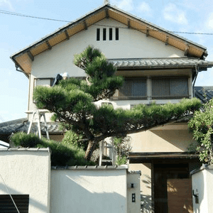 門かぶり　松の木 門かぶり松とは？和風住宅に欠かせない存在｜フラワーライフ研究会の