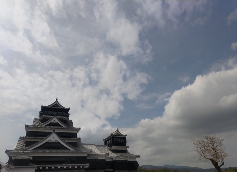 はい！毎週日曜夕方恒例の写真からパワーばもらうたい！のお時間です。今日は、桜と熊本城です。熊本城は銀杏のイメージが強いのですが、こんな景色もありかなと思い、ぱちり。この日は熊本城を満喫しました(^^)　まあ、明日からも、ぼちぼちと…(^^;)