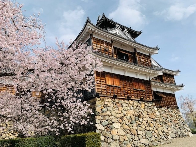 お城】福知山城（京都府福知山市）｜サザヱ