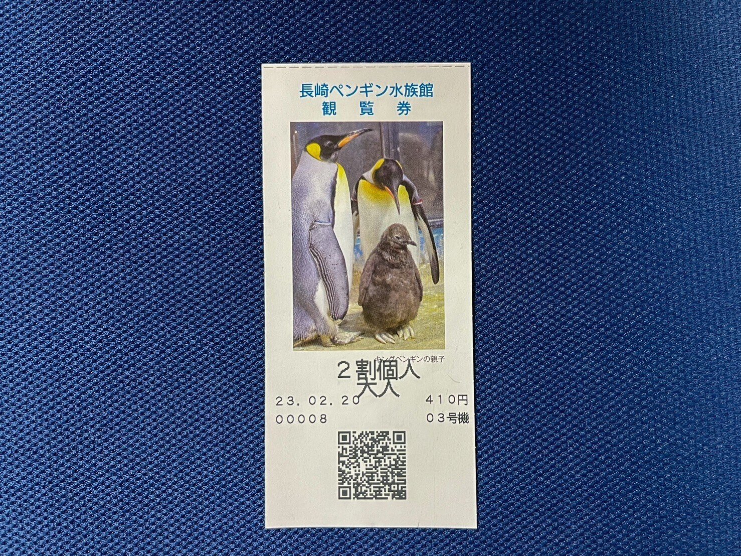 レポ#42 長崎ペンギン水族館｜haru