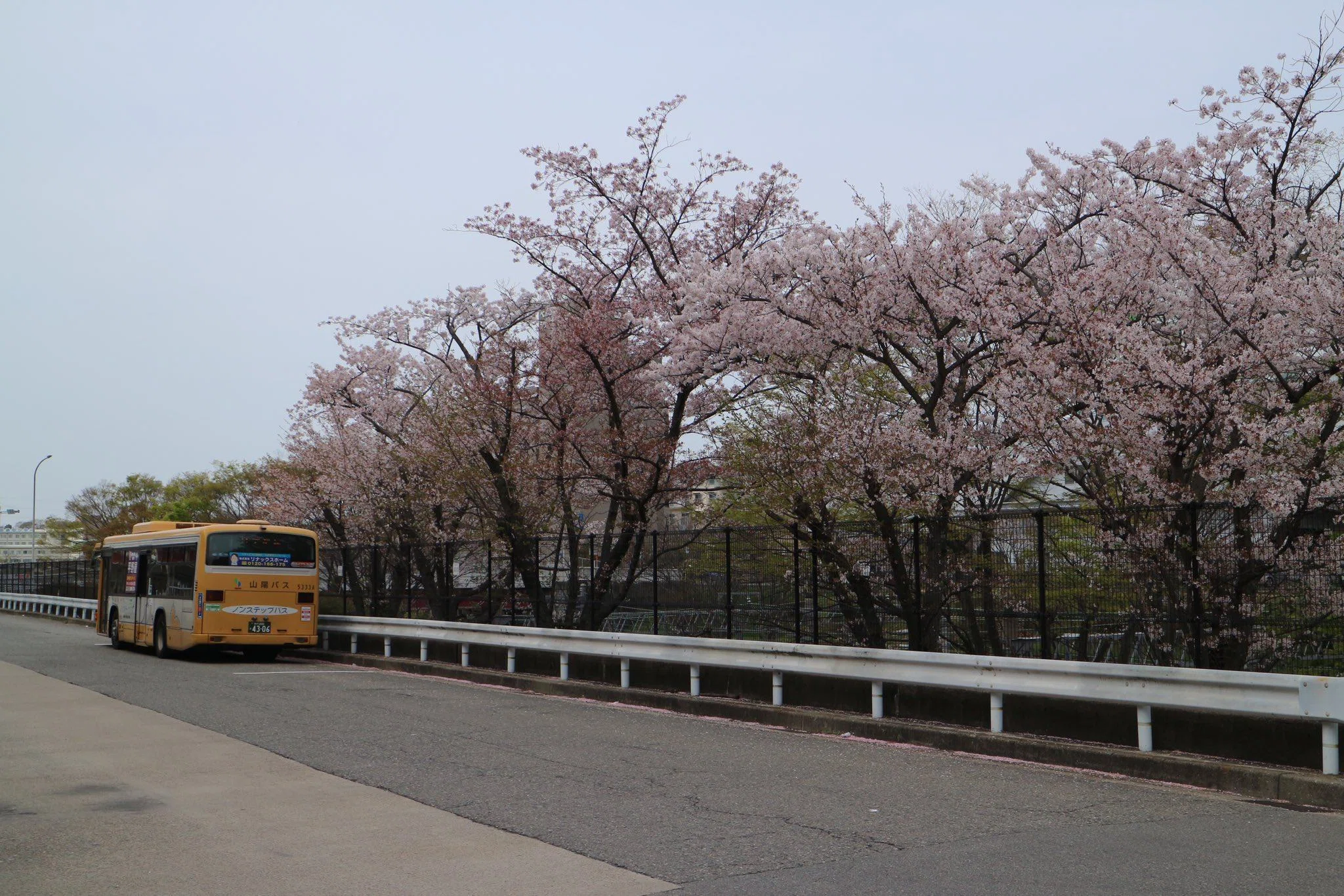 山陽バス 前面方向幕(名谷線,垂水線) 山陽バス】名谷駅バスターミナルの桜2023｜垂水の止利