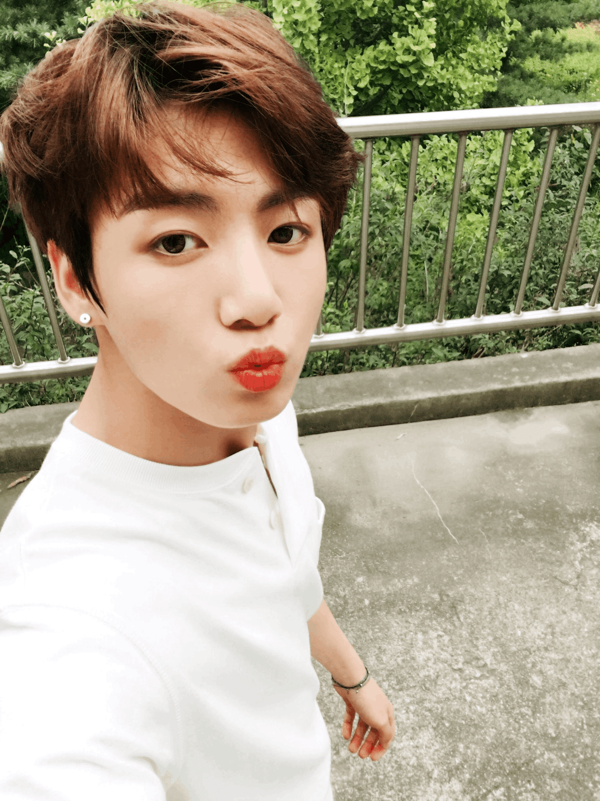 防弾少年団 BTS 2016 ジョングク fc 継続 フォト 公式 防弾少年団 BTS 2016 ジョングク fc 継続 フォト 公式 BTS FC