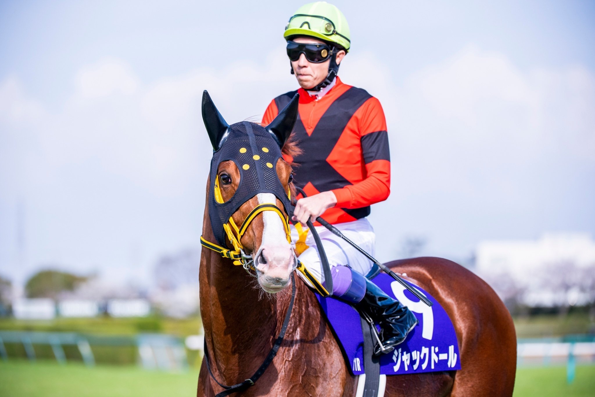 競馬稼業はつらいよ～パドックが教えてくれること②～｜JRDB