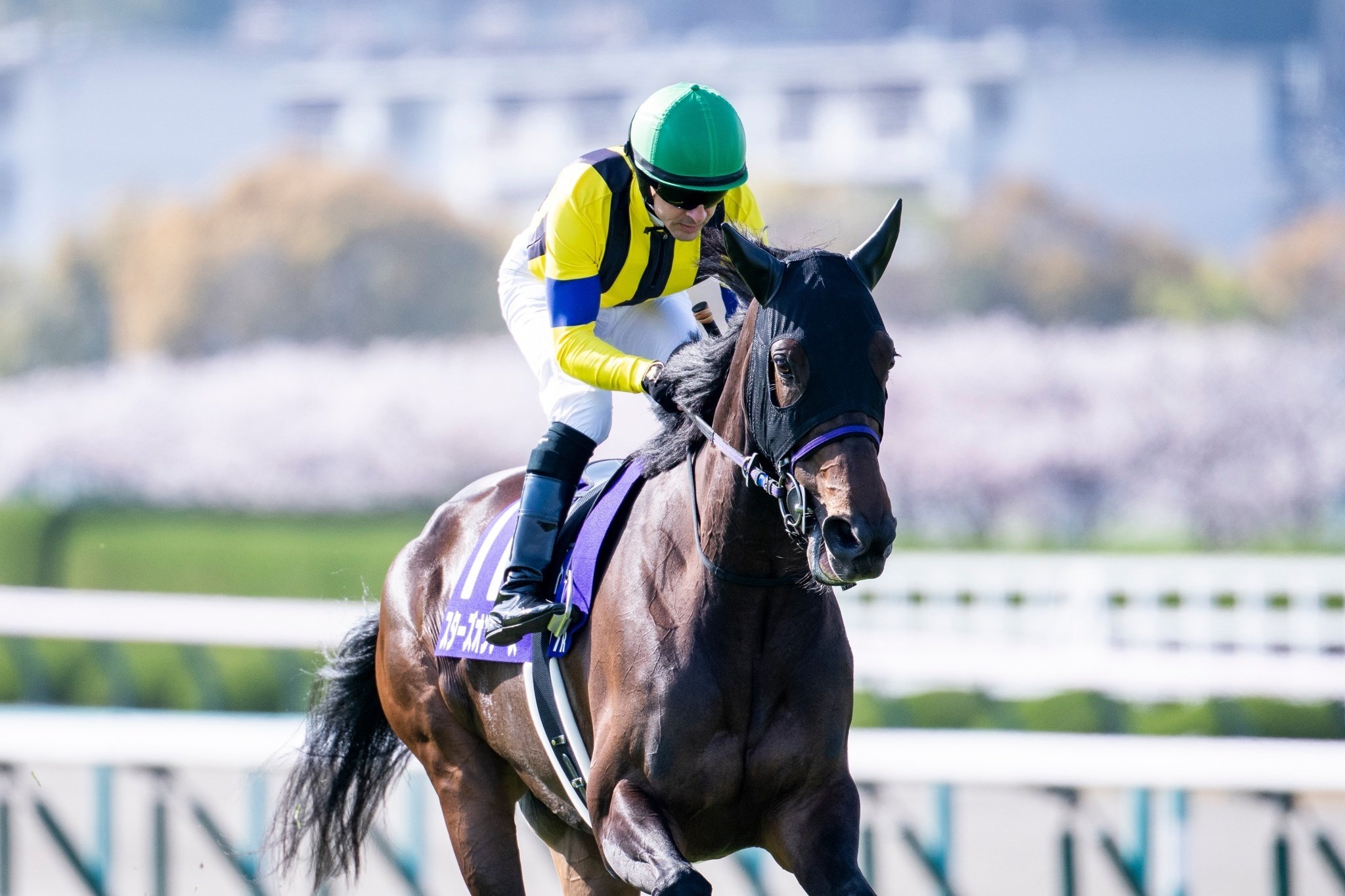 超活用ネット競馬で稼ぎまくれ! ネット株より簡単! 3000万円大損したボクが月300万円稼げるようになった 世界一