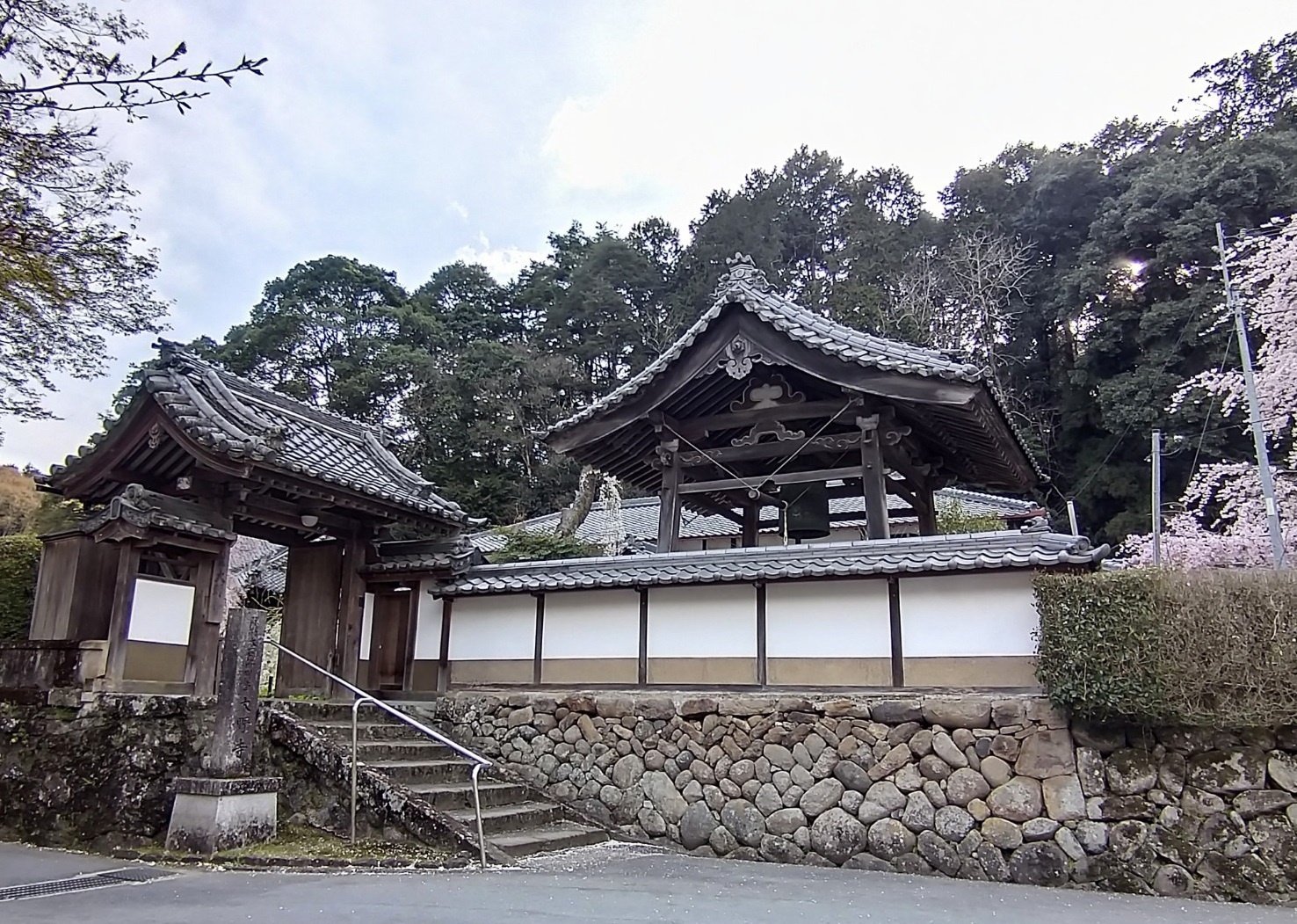 額縁YATAYA・廃盤・桜の大木・値下げ 額縁YATAYA・廃盤・桜の大木・値下げ 額縁YATAYA・廃盤・桜の